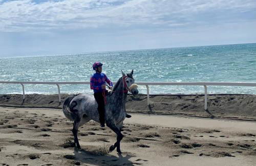 Maremma 1851 - Photo 72