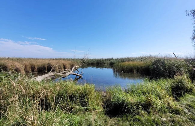 Ferienhof Neuendorfkrug, Lutow - Foto 19