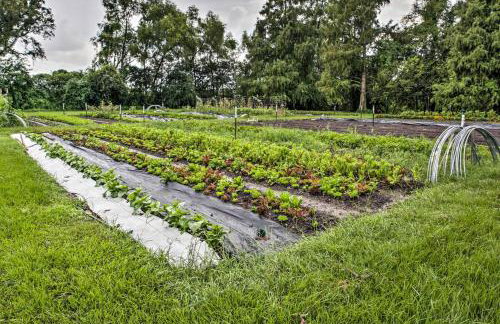 Historic Baton Rouge Vacation Rental 6 Mi to LSU! - Foto 18