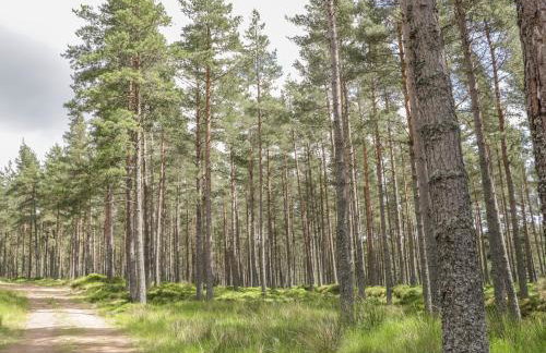 Drumhead Bothy - Foto 20