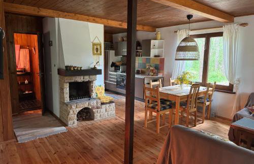 Chatka Poddębie - Foto 1