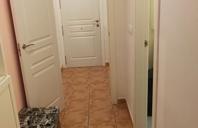 Velez Nazari - Photo 28