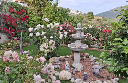 Flower house - Foto 38