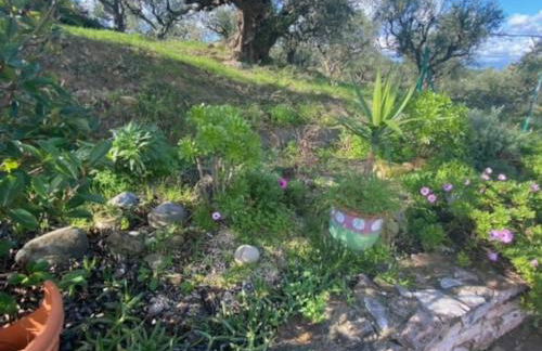 Haus mit Pool im Olivenhain - Foto 15