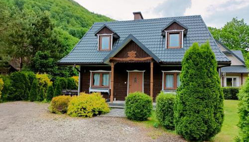 Domki w Bieszczadach - Foto 3, Garden, Garden view