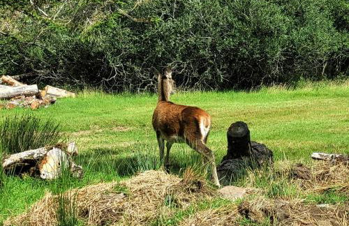 Sound of Durnamuck - Foto 128