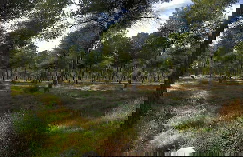 Pozo Amores - Foto 17