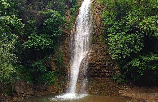 Botanical 21 Apartments - Photo 72