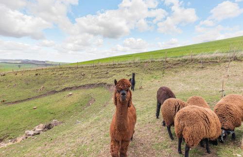 The Hemmel - Uk43357 - Foto 19