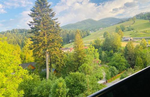 Villa Makuchówka - Foto 28