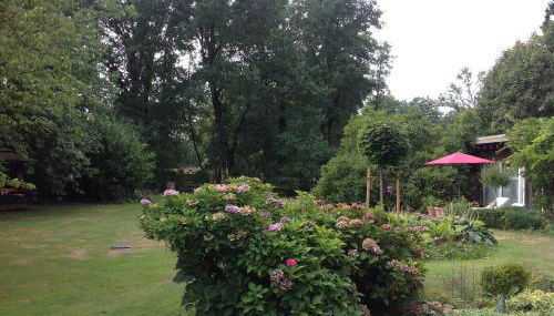 Separate Gästewohnung - Foto 5, Garden