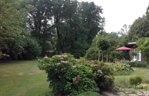 Separate Gästewohnung - Foto 5