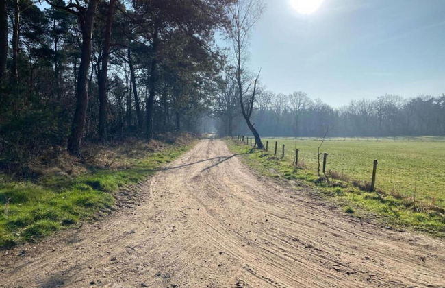 Holiday Home in Haarle Near Sallandse Heuvelrug - Foto 18