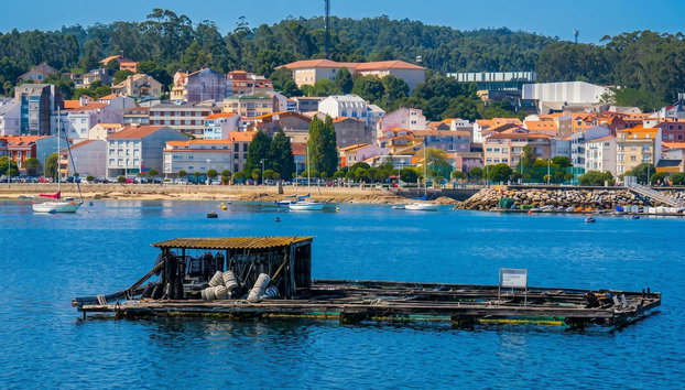 Excursión a las Rías Baixas + Visita a una bodega - Foto 2