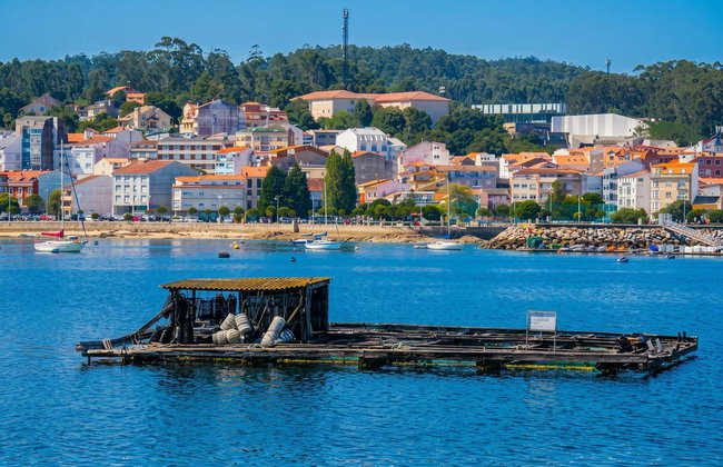 Excursión a las Rías Baixas + Visita a una bodega - Foto 2