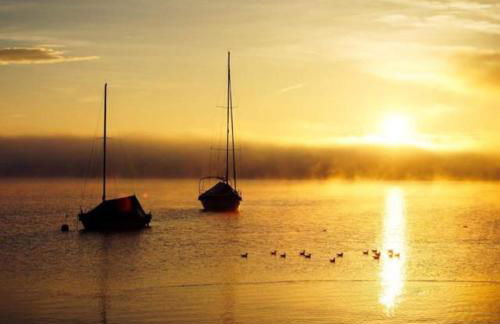 Genusszeit am Chiemsee - Photo 18