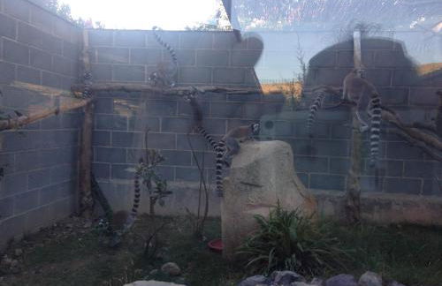 Apartamento Turistico Cigüeña de Arguedas - Foto 61