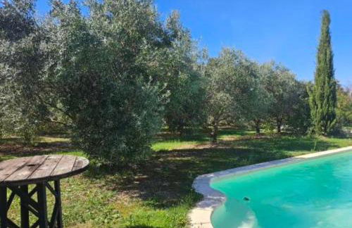 Les oliviers - Foto 2