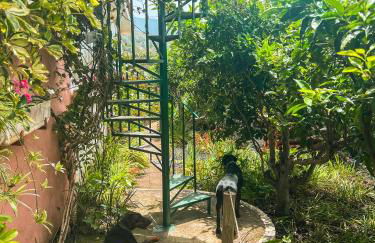 Canarian Cottage with terrace surrounded by garden - Alisios - Foto 22