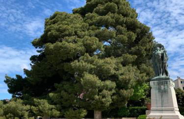 Clara Luna appartamento turistico - Foto 17