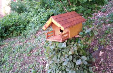 VILLA KORANA - Foto 34