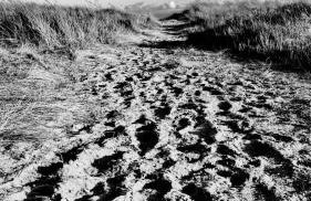 The Beach House East Mersea - Foto 26