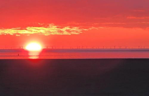 Dolphin House - Foto 56