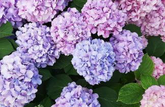 Sea view Jagoda apartment 3 - Foto 29