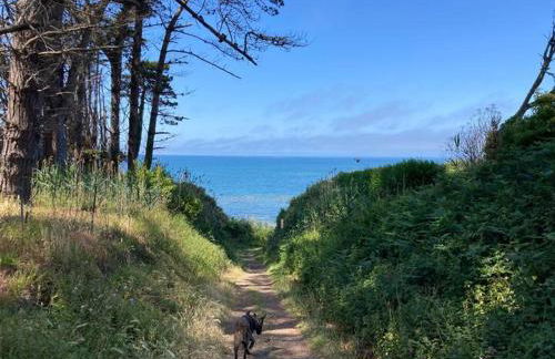 Jolie maison avec jardin a 1km de la plage - Foto 14