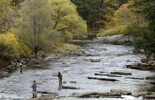 Sparrowhawk House - Foto 39