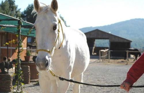 Villa Mar & Natura Sitges - Foto 63