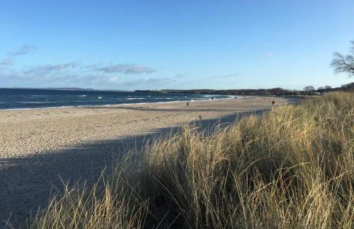 Ferienhaus Wiesenkate - Foto 30