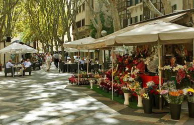 Mountain Finca with Pool - Foto 37