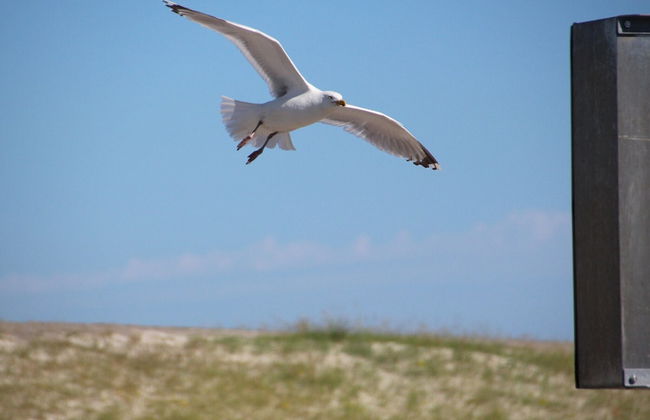 Bungalow, Dornumersiel - Foto 12