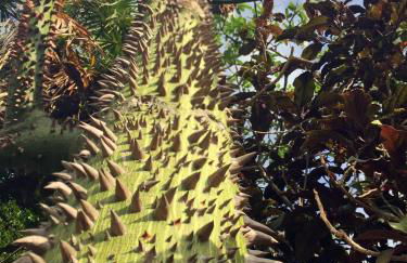 Luxury and the beach - Foto 41