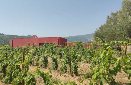 Quinta dos Padrinhos - Suites in the Heart of the Douro - Foto 45