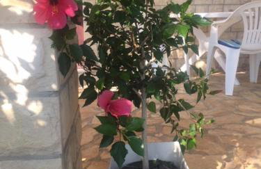 Family friendly holiday home "Ana" with heated pool - Foto 7