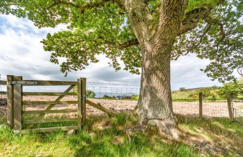 1 Bed in Glan Conwy oc-g30282 - Foto 21