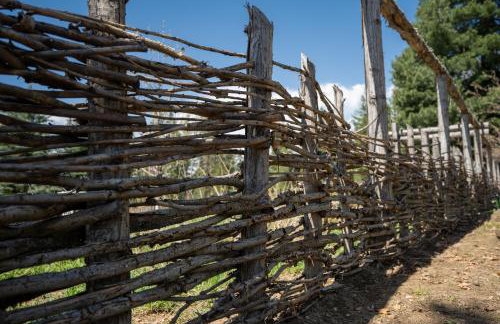Country Cottage Basement Apartment - Foto 17