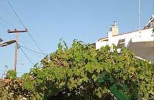 Pomegranate Seaside Corner - Foto 19