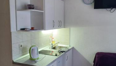 Sobe Stanković - Photo 5