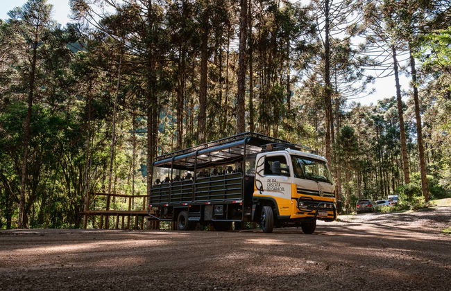 Camión safari + Senderismo hasta la cascada del Caracol - Foto 2