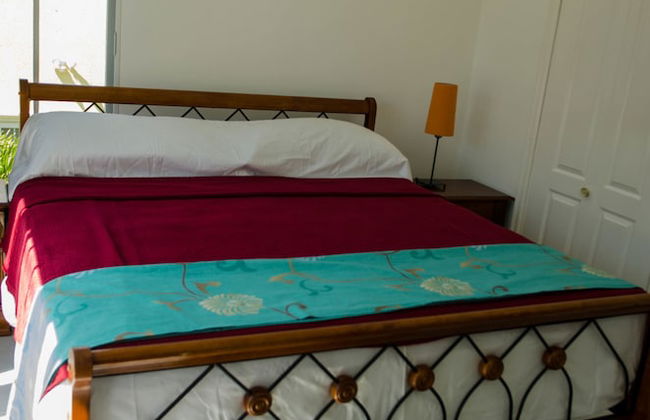 Seas the Day Sanctuary Little Bay - Photo 4