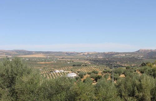 La Casa De La Abuela - Foto 21