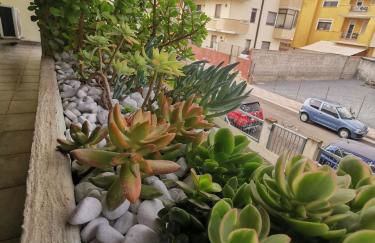 Appartamento le Magnolie - Foto 15