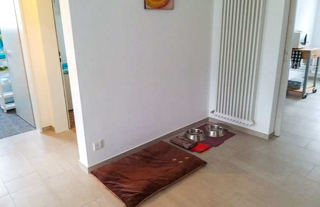 Simona Fontile 11 - Foto 12