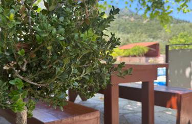 Pandora Villa - Foto 12