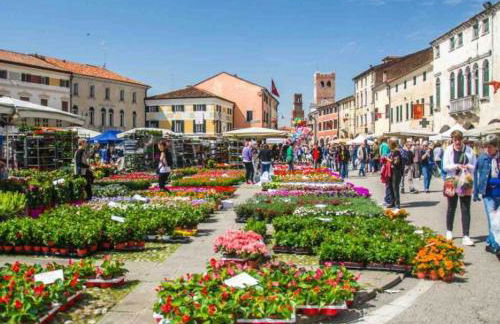 Nirvana's Home 1 near Venice - Foto 41