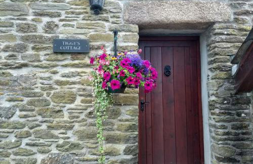 Fentrigan Manor Farm & Holiday Cottages - Foto 47