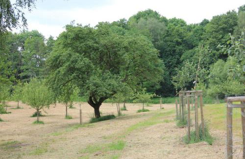 Apfelscheune Cannewitz - Foto 71